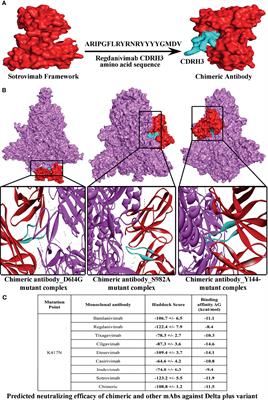 In Silico Analyses on the Comparative Potential of Therapeutic Human Monoclonal Antibodies Against Newly Emerged SARS-CoV-2 Variants Bearing Mutant Spike Protein